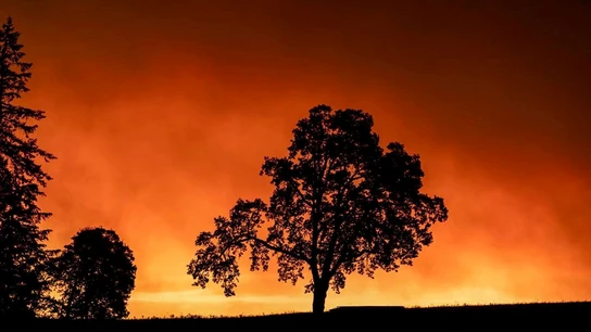 Imagen de los incendios de Oregon Imagen de los incendios de Oregon