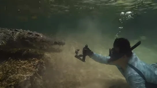 Bartolomeo Bove Bartolomeo Bove