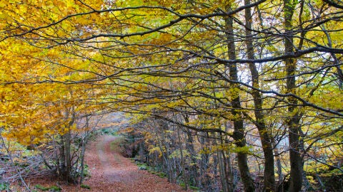 Paisaje Sierra de la Demanda