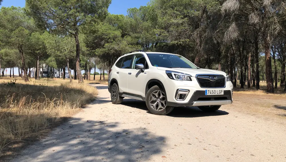 Subaru Forester ecoHYBRID 2020