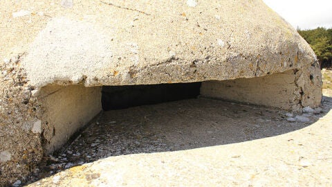 Alto del León