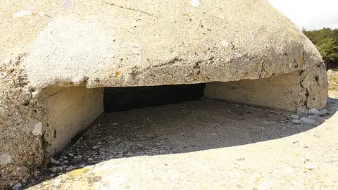 Alto del León Alto del León