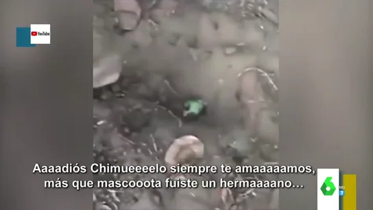 El vídeo viral de Chimuelo, el loro muerto al que muerde un perro: "Adios Chimuelo, más que mascota, fuiste un hermano" El vídeo viral de Chimuelo, el loro muerto al que muerde un perro: "Adios Chimuelo, más que mascota, fuiste un hermano"