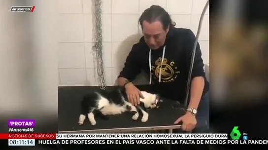 El desgarrador vídeo de Pipi Estrada llorando la trágica muerte de su gato Trapito El desgarrador vídeo de Pipi Estrada llorando la trágica muerte de su gato Trapito