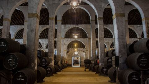 Interior Bodega. Jerez