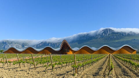 Bodega Ysios