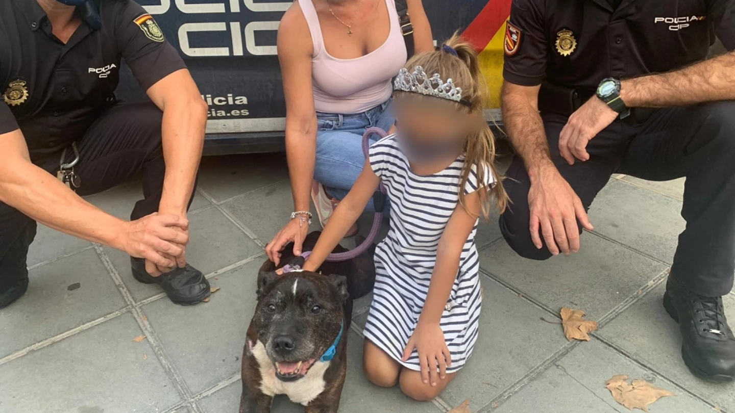 Imagen del perro que fue arrastrado Imagen del perro que fue arrastrado