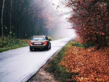 10 consejos para conducir con seguridad en otoño