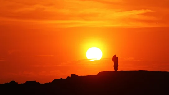Un estudio concluye que la Vitamina D ayuda a reducir las complicaciones de la COVID-19 Un estudio concluye que la Vitamina D ayuda a reducir las complicaciones de la COVID-19