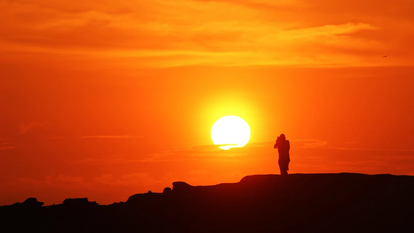 Un estudio concluye que la Vitamina D ayuda a reducir las complicaciones de la COVID-19 Un estudio concluye que la Vitamina D ayuda a reducir las complicaciones de la COVID-19