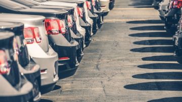 Flota de coches nuevos