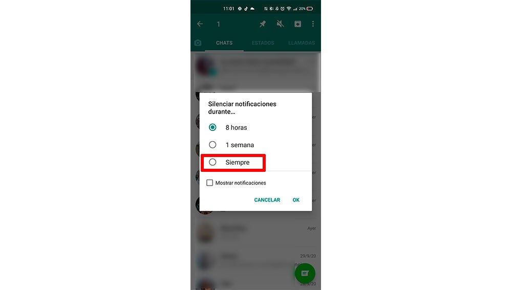Silenciando el chat para siempre