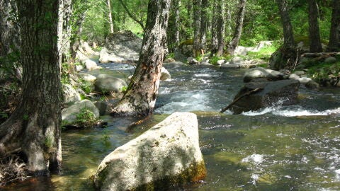 Valle de las Iruelas