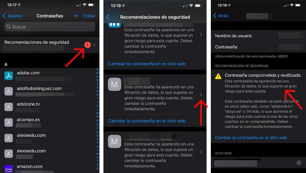 Verifica la seguridad de tus contraseñas en iOS.