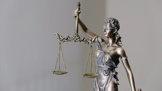 Diccionario político: ¿qué esel indulto? Indulto