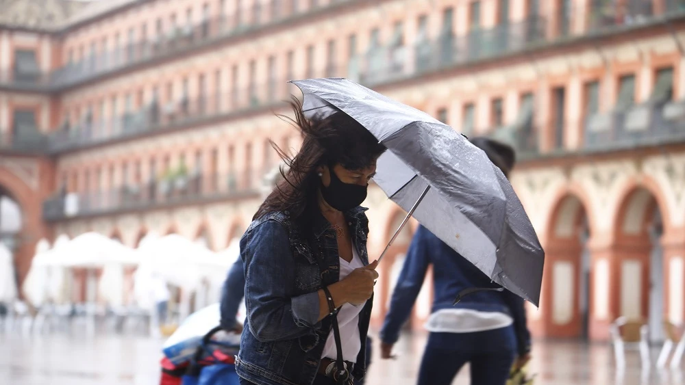 Imagen de una mujer con un paraguas para protegerse de la lluvia