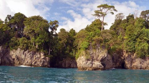 Corcovado Península de Osa