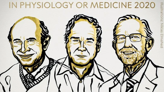 Harvey J. Alter, Michael Houghton y Charles M. Rice, ganadores del premio Nobel de Medicina 2020 Harvey J. Alter, Michael Houghton y Charles M. Rice, ganadores del premio Nobel de Medicina 2020