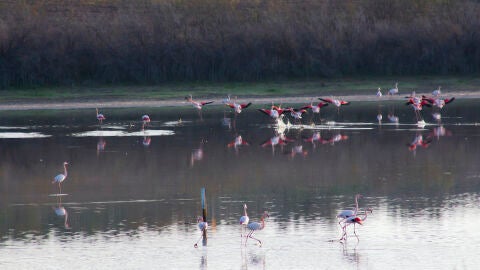 Lagunas de Osuna