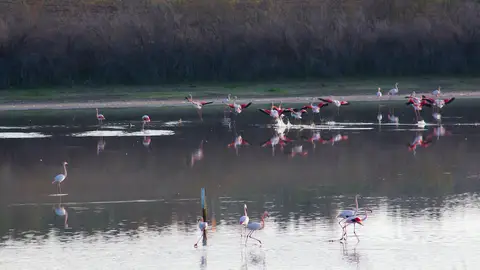 Lagunas de Osuna Lagunas de Osuna