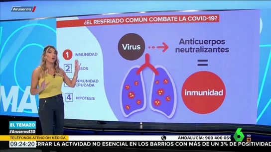 ¿El resfriado común combate el coronavirus? Un estudio afirma que sí ¿El resfriado común combate el coronavirus? Un estudio afirma que sí