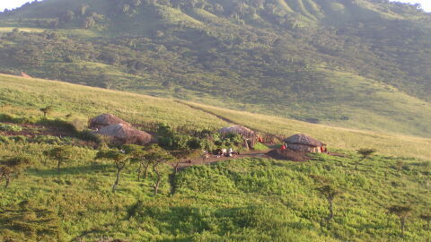 Ngorongoro