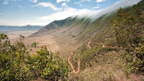 Ngorongoro