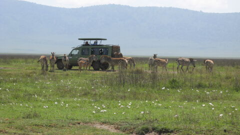 Ngorongoro