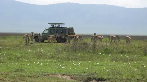 Ngorongoro Ngorongoro