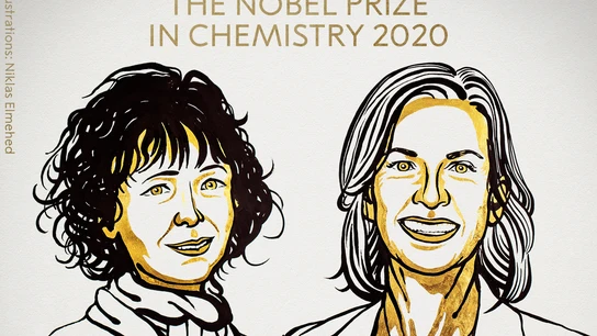 Premio Nobel de Química para Emmanuelle Charpentier y Jennifer A. Doudna Premio Nobel de Química para Emmanuelle Charpentier y Jennifer A. Doudna