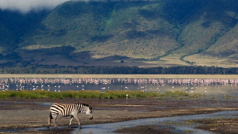 Ngorongoro