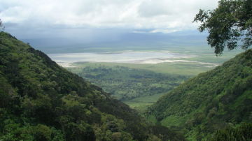 Ngorongoro