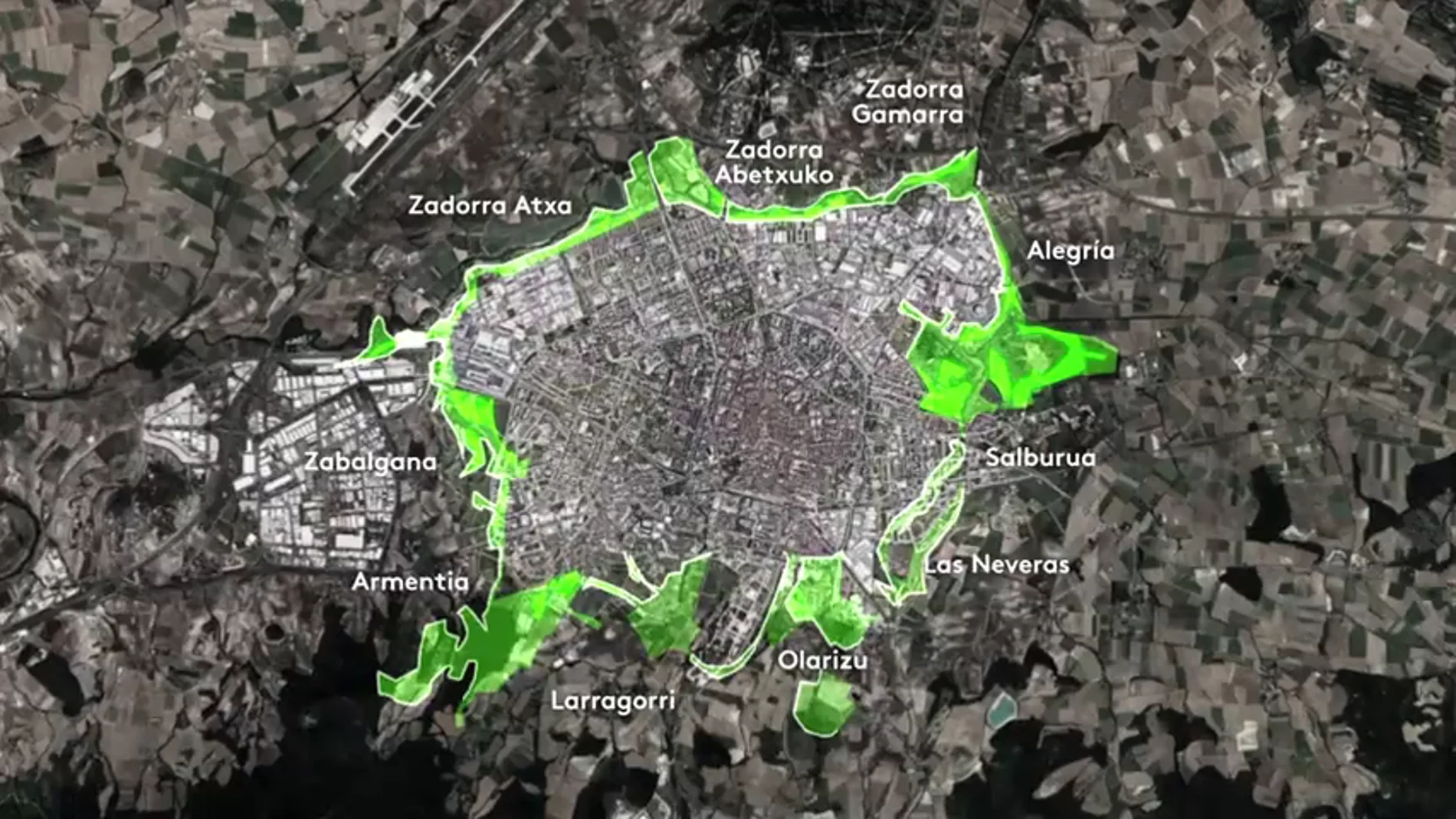 Vitoria, el ejemplo de ciudad verde que ha conseguido que la población de gorriones aumente un 5%
