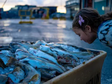 Algo huele a podrido en Islandia pero por que ciertas personas no lo notan Algo huele a podrido en Islandia pero por que ciertas personas no lo notan