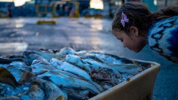 Algo huele a podrido en Islandia pero por que ciertas personas no lo notan
