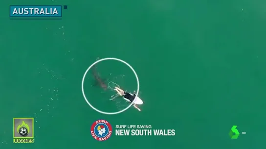 El terrorífico momento en el que un tiburón se acerca a centímetros de un surfista El terrorífico momento en el que un tiburón se acerca a centímetros de un surfista
