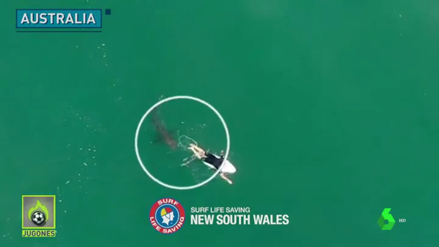 El terrorífico momento en el que un tiburón se acerca a centímetros de un surfista El terrorífico momento en el que un tiburón se acerca a centímetros de un surfista
