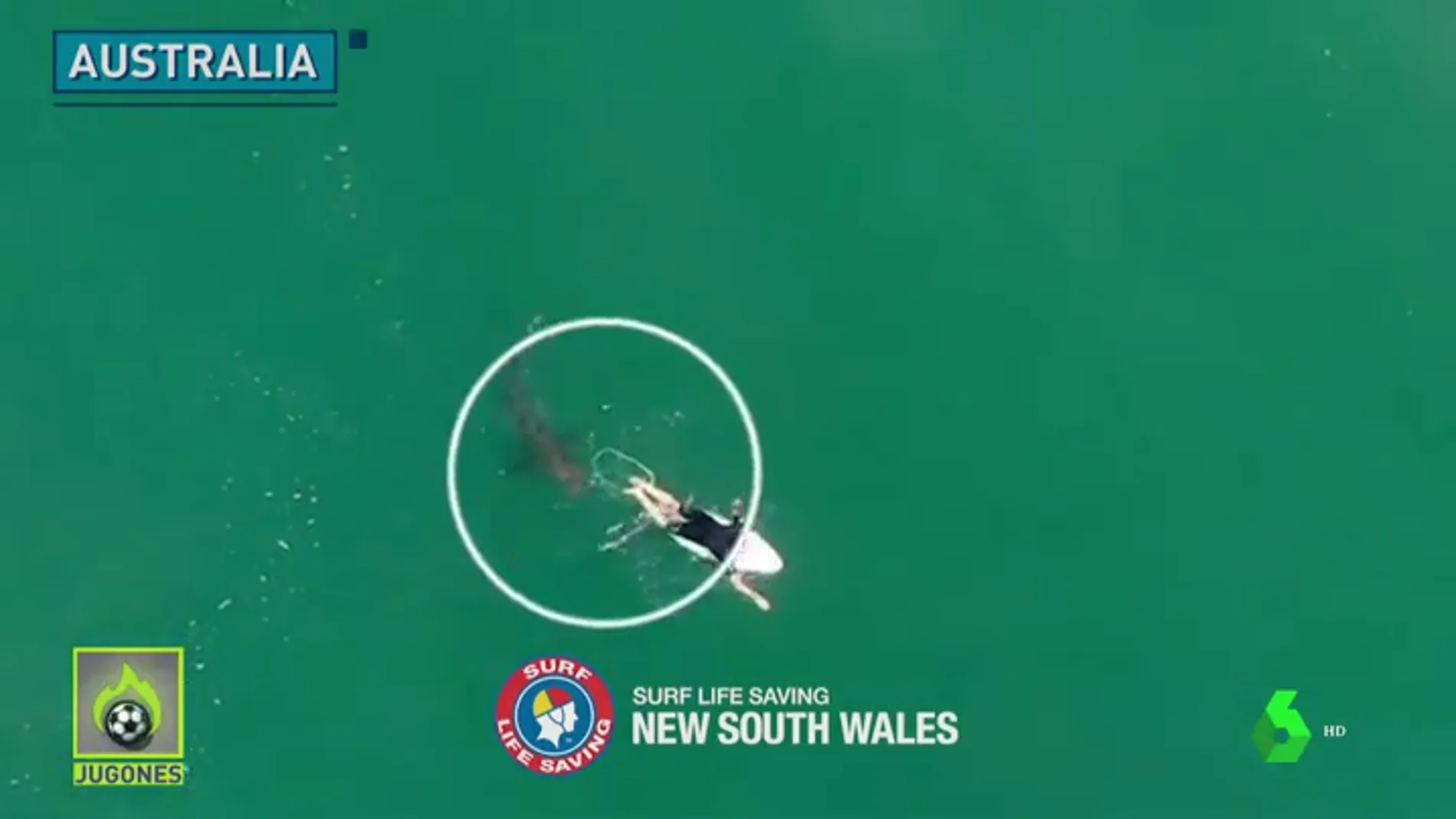 El terrorífico momento en el que un tiburón se acerca a centímetros de un surfista