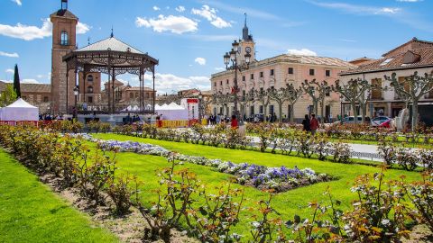 Alcalá de Henares