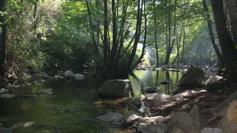 Parque Natural del Montseny Parque Natural del Montseny