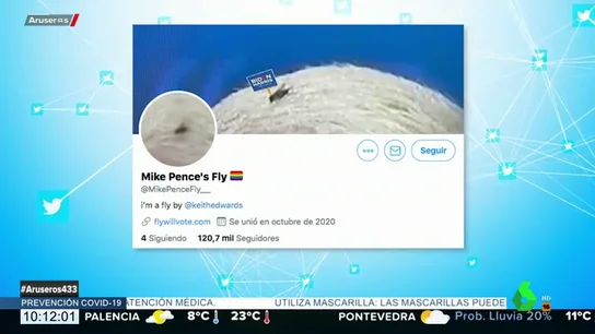 La mosca de Mike Pence ya tiene Twitter La mosca de Mike Pence ya tiene Twitter