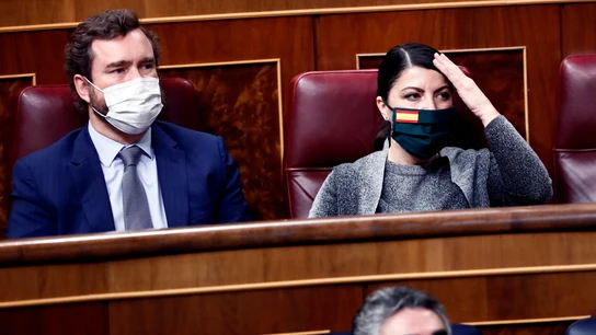 El portavoz parlamentario de Vox, Iván de Espinosa de los Monteros, y la diputada Macarena Olona El portavoz parlamentario de Vox, Iván de Espinosa de los Monteros, y la diputada Macarena Olona