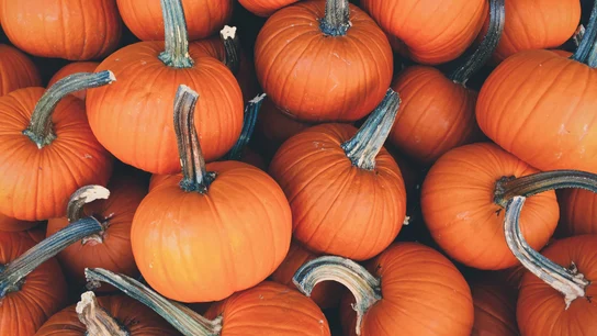 Halloween 2020: estas son las más terroríficas y deliciosas recetas para la fiesta 31 de octubre Halloween