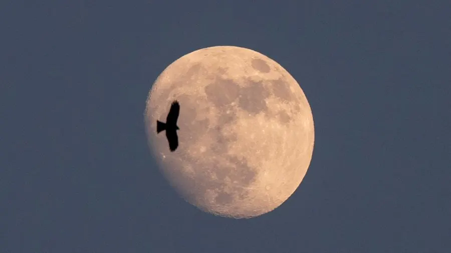 La NASA confirma que hay agua helada en la Luna