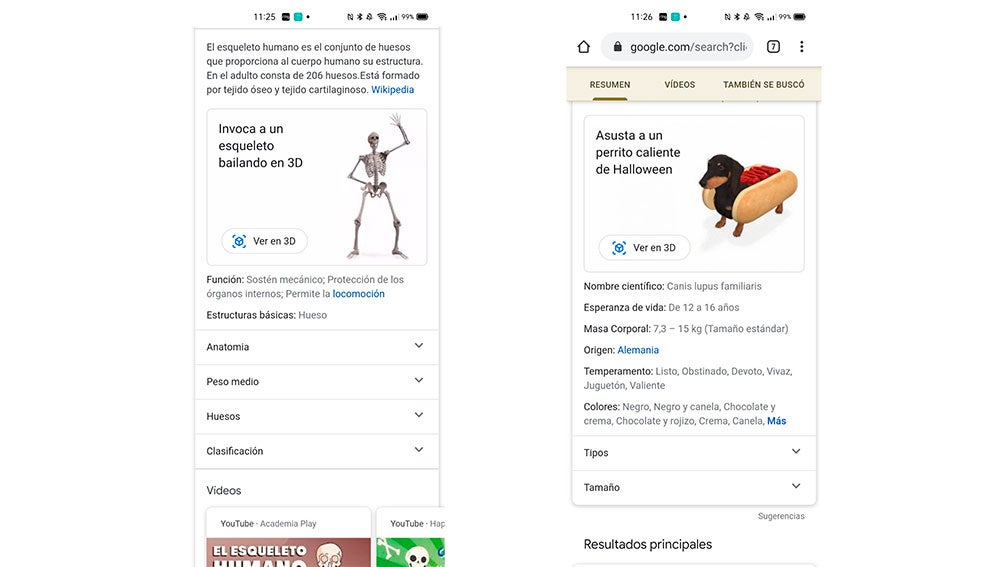 Algunos de los objetos y animales que recrea Google