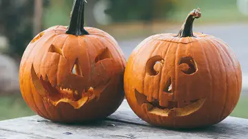 Halloween Halloween