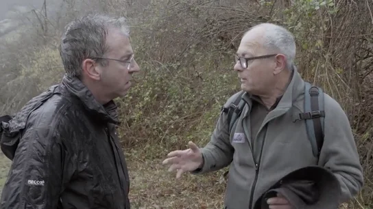 La denuncia del uso del lobo como herramienta política: "Detrás del mundo de los daños de la especie hay mucho fraude" La denuncia del uso del lobo como herramienta política: "Detrás del mundo de los daños de la especie hay mucho fraude"