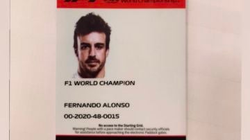Acreditación de Fernando Alonso para Imola