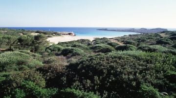 Platja