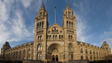 Museo de Historia Natural de Londres